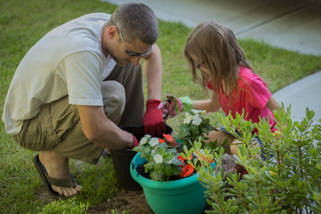 Dad and young daughter planting flowers together